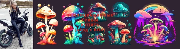 Альфа ПВП Няндома