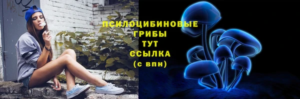круглые Новозыбков