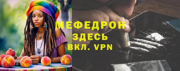 шишки Новодвинск