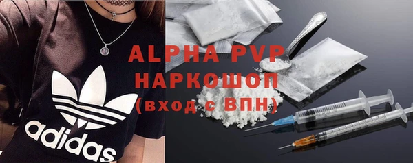 шишки Новодвинск