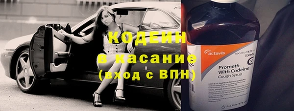 шишки Новодвинск