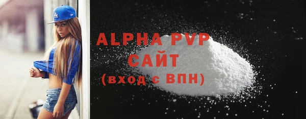 Альфа ПВП Няндома