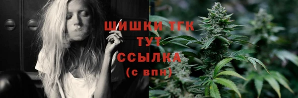 Альфа ПВП Няндома