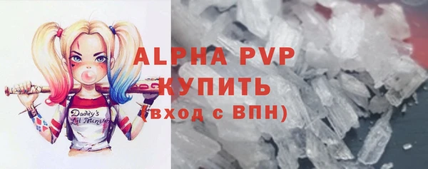 шишки Новодвинск