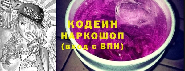 шишки Новодвинск