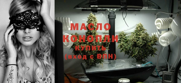 шишки Новодвинск