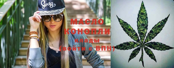 шишки Новодвинск