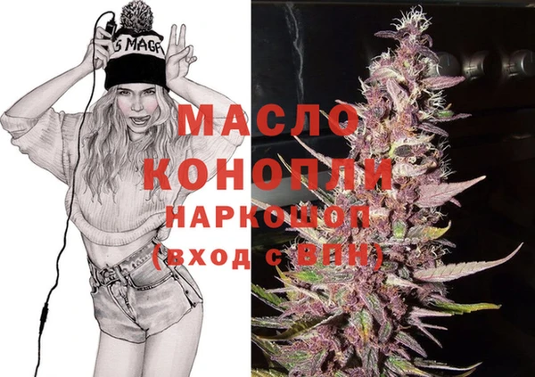 шишки Новодвинск