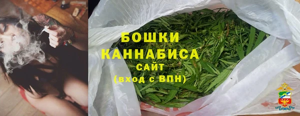 Альфа ПВП Няндома