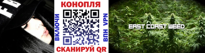 Шишки марихуана марихуана  дарнет шоп  Берёзовка 